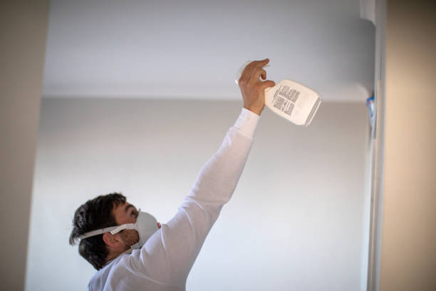 Best Water Damage Restoration  in Lyons, CO