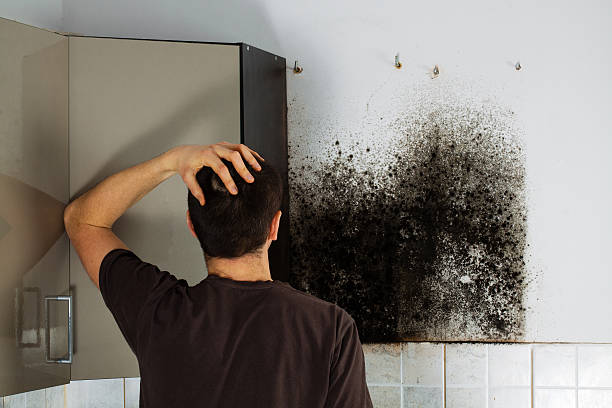 Best Residential Mold Removal  in Lyons, CO